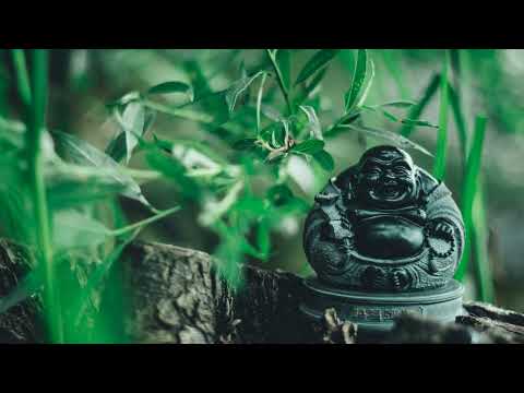 Franco Dalmati: Little Lord (NAHS Remix)