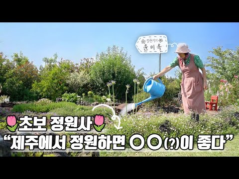 , title : '[ SUB ] 오래된 초보의 제주 정원 Old Beginner's Jeju Garden | 정원의 발견 Wonders of Garden | KBS제주20230707방송'