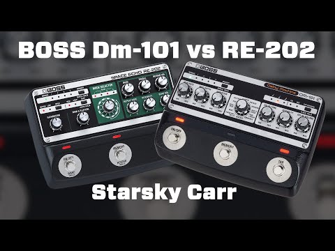 Boss Dm-101 vs RE-202 // What's the difference?