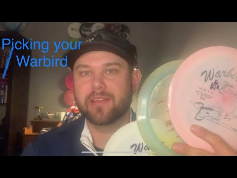 Which Warbird is right for you? Reviewing Alpha, Bravo and ...