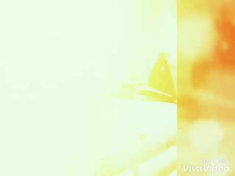 Sali vessou 100 kila