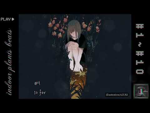 インドアホップ 植物