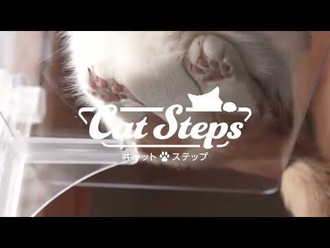 施工不要！窓に取り付ける透明なキャットステップ