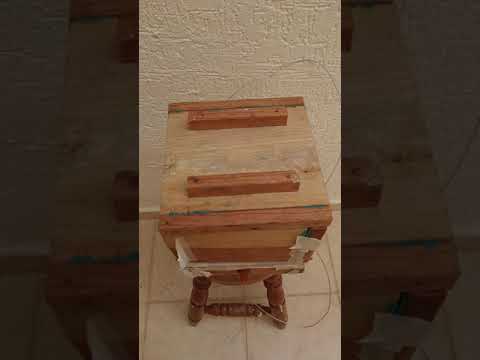 download lagu mp3 mp4 Mexican Acidic Honey, download lagu Mexican Acidic Honey gratis, unduh video klip Mexican Acidic Honey