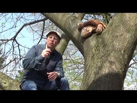 Kreuz und Quer Mai 2021