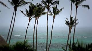 Download lagu Suara Angin Topan // Efek suara angin//Hurricane mp3 Download lagu Suara Angin Topan // Efek suara angin//Hurricane mp3