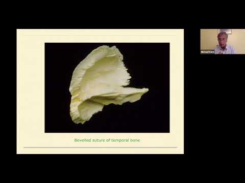 Introduction to Training in Biodynamic Craniosacral Therapy - webinar with Michael Kern