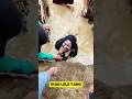 Momen Lucu Ketika Wanita Wanita Lomba Menangkap Ikan Lele ️ ️ Lucu Lomba Ikanlele Wanitacantik