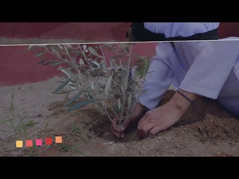 JINÊN ÊZIDÎ 8' ADAR 3