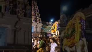 preview picture of video 'Samayapuram mariamman(1)'