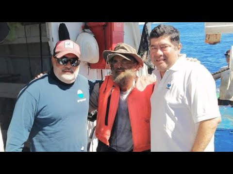 Schiffbruch im Pazifik: Segler überlebt Monate mit seiner Hündin