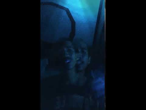 Realidad - Paw (TEASER)