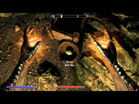 The Elder Scrolls V: Skyrim - Part 20