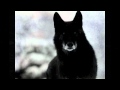 Cry Of Silence - Last Tears Of The Wolf 