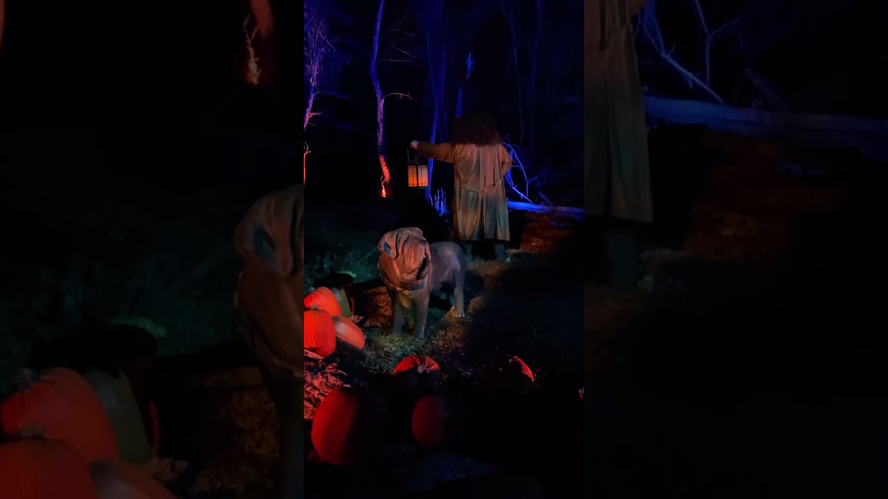 YouTube Short thumbnail