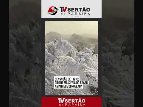 Frio extremo: cidade em Santa Catarina registra sensação térmica de -12°C