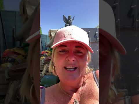 EXPRESS GUIDE TO COSMIC ORDERING!