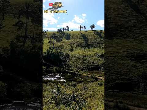 Paisagem natural em Presidente tancredo Neves Bahia #shorts #giloviajante #2026 #viagemdecarro