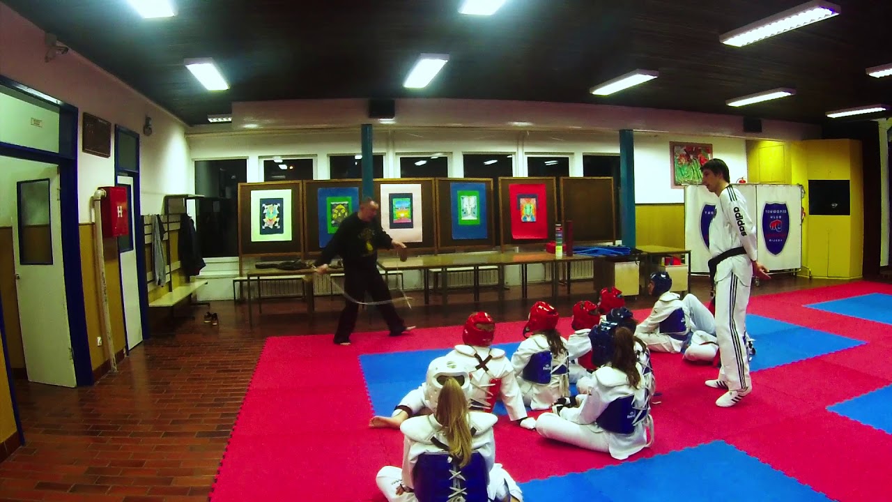 MARTIAL ARTS - SELF DEFENSE
