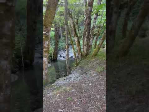 Short walk to Aikens Creek from site 13.