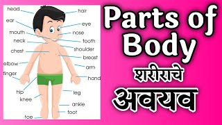 parts of body  body parts  marathi  शरीर�