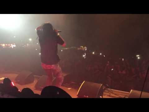 General levy backed by shy fx @ bestival festival in isle of white