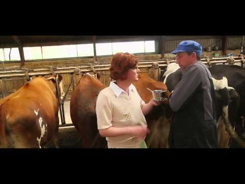 Arm i Ko - Brun Sovs