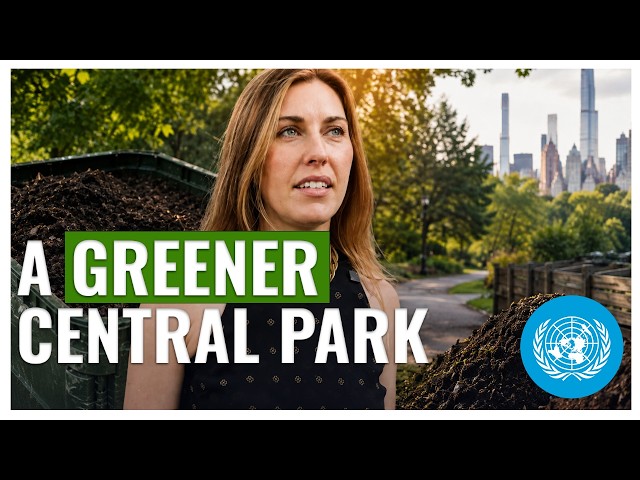  Climate: Can This Project Save Our Cities?