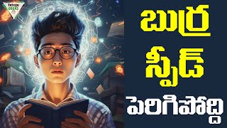 3 Tips To Increase Memory Power And Intelligence | Telugu Geeks