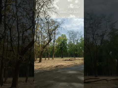 Woke up late ?👀 #new #trending #art #love #nature