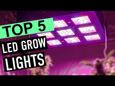 download lagu mp3 mp4 Led Grow Lights India, download lagu Led Grow Lights India gratis, unduh video klip Led Grow Lights India