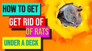 How To Get Rid Of Rats Under A Deck