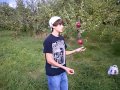 Apple Juggling