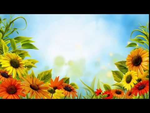 download lagu mp3 mp4 Video Motion Effects Free Download, download lagu Video Motion Effects Free Download gratis, unduh video klip Video Motion Effects Free Download