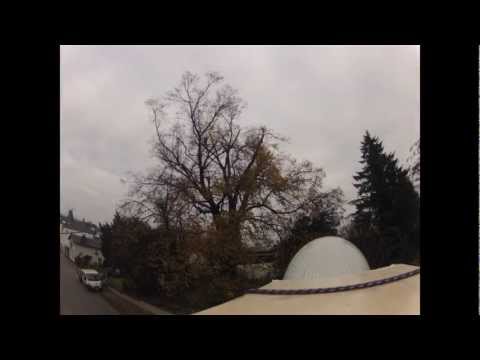 Astrein-Baumpflege - Rückschnitt einer Linde in Seilklettertechnik