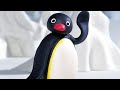 Pingu Napoletano