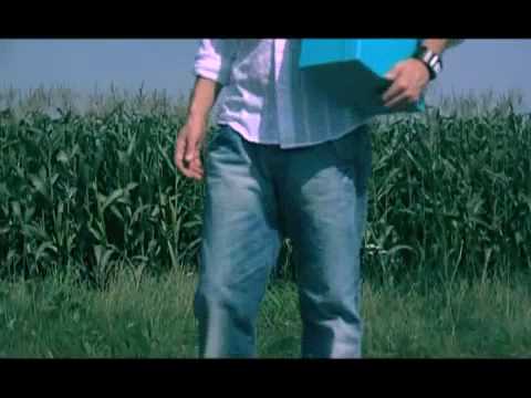 MARCO V - RED BLUE PURPLE