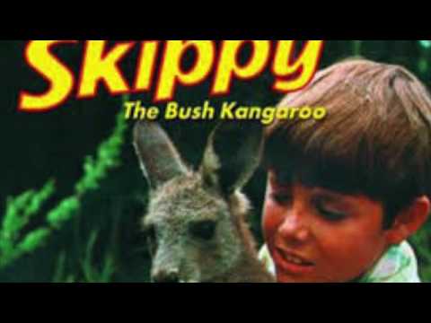 Skippy the bush Kangaroo ANTONIO MOSQUEDA