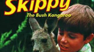 Skippy the bush Kangaroo ANTONIO MOSQUEDA