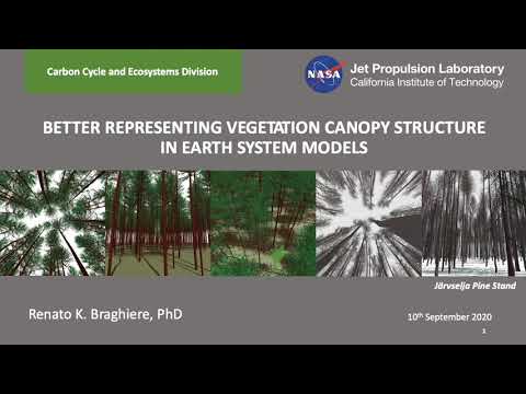 Better representing vegetation canopy structure in Earth System Models