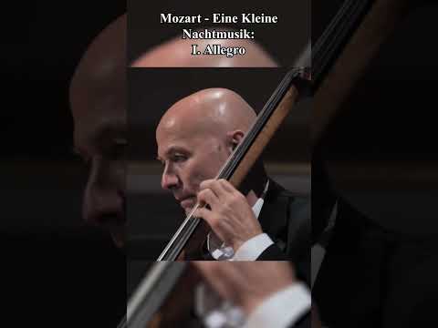 Classical Music You’ve Heard But Don’t Know the Name of