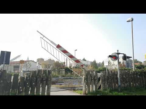 Level crossing #1 (v2) - Adria - Via Fratelli del 99 #railroadcrossing