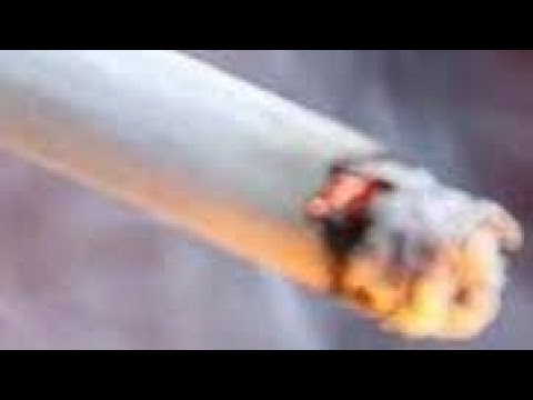 Ashes to Assets: How Tobacco Built an Empire