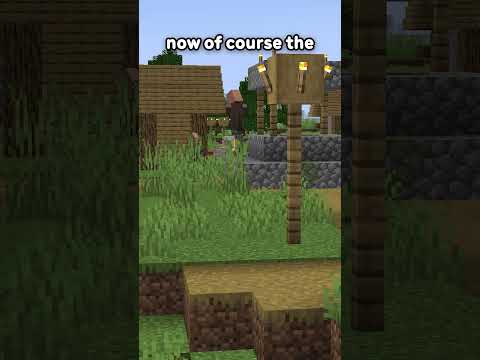 The New Minecraft Villager Update...