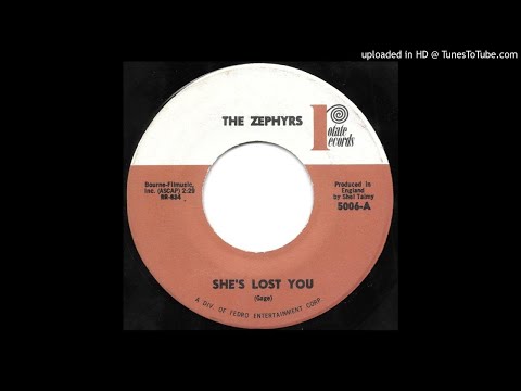 The Zephyrs - She Lost You