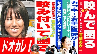 「じゃれ咬み」に悩む飼い主必見！効果的な解決策とは？