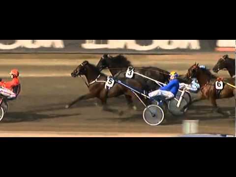 Åby Stora Pris 2013_Heat A_Save the Quick 1:10,3_Björn Goop