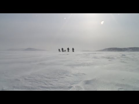 Baffin Babes Documentary