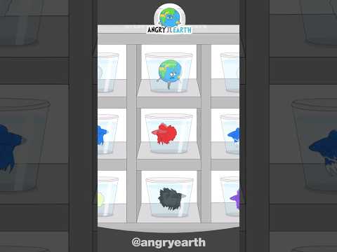 Don't Buy Betta Fish #shorts