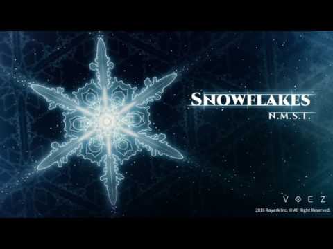 N.M.S.T - Snowflakes